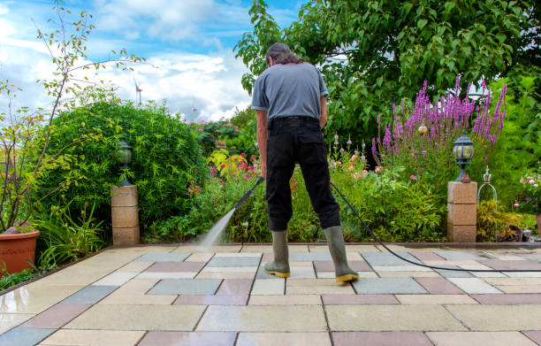 Best Sidewalk and Walkway Cleaning  in Haubstadt, IN